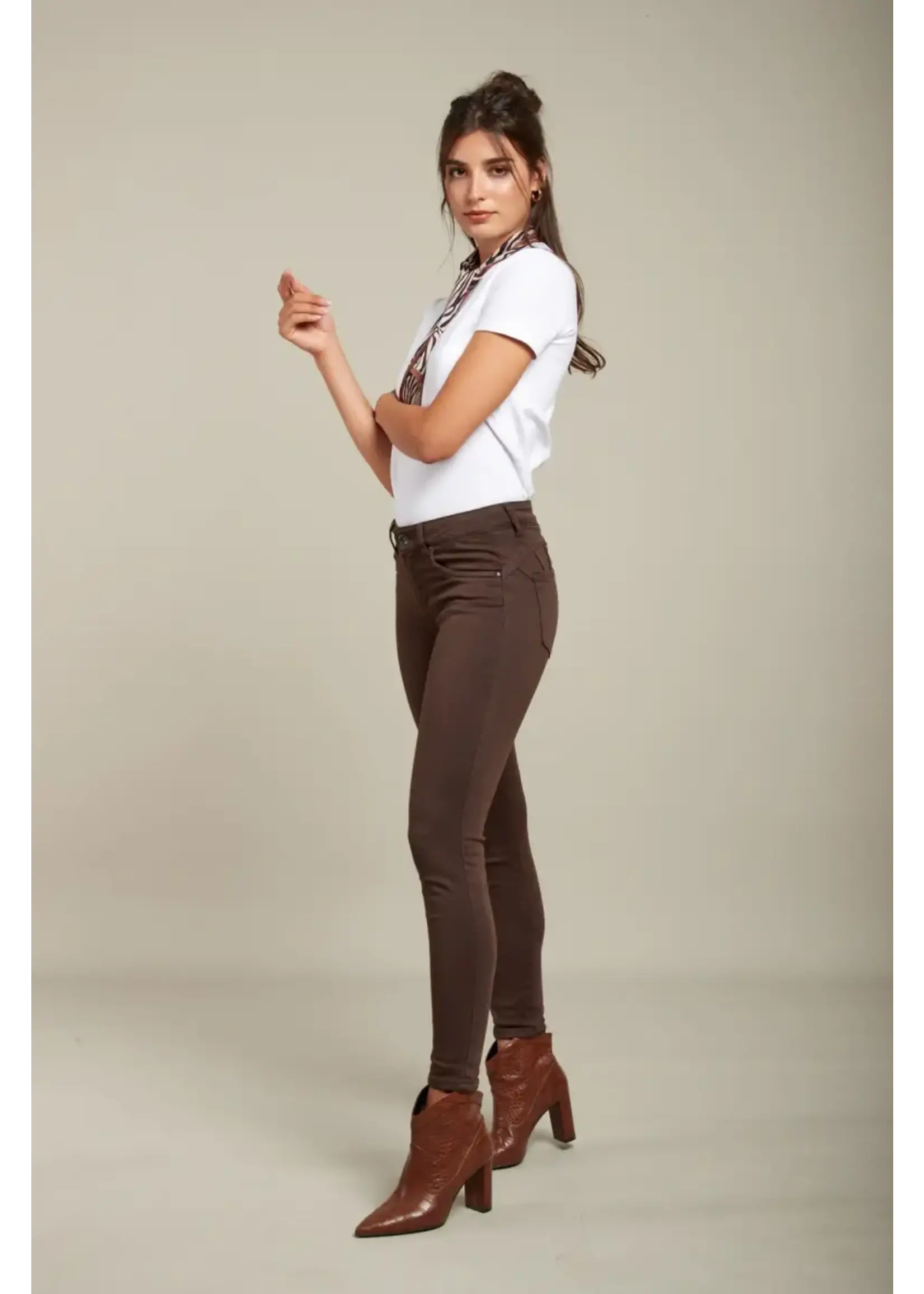 JEAN JOGG COLOR PUSH-UP - LYLY