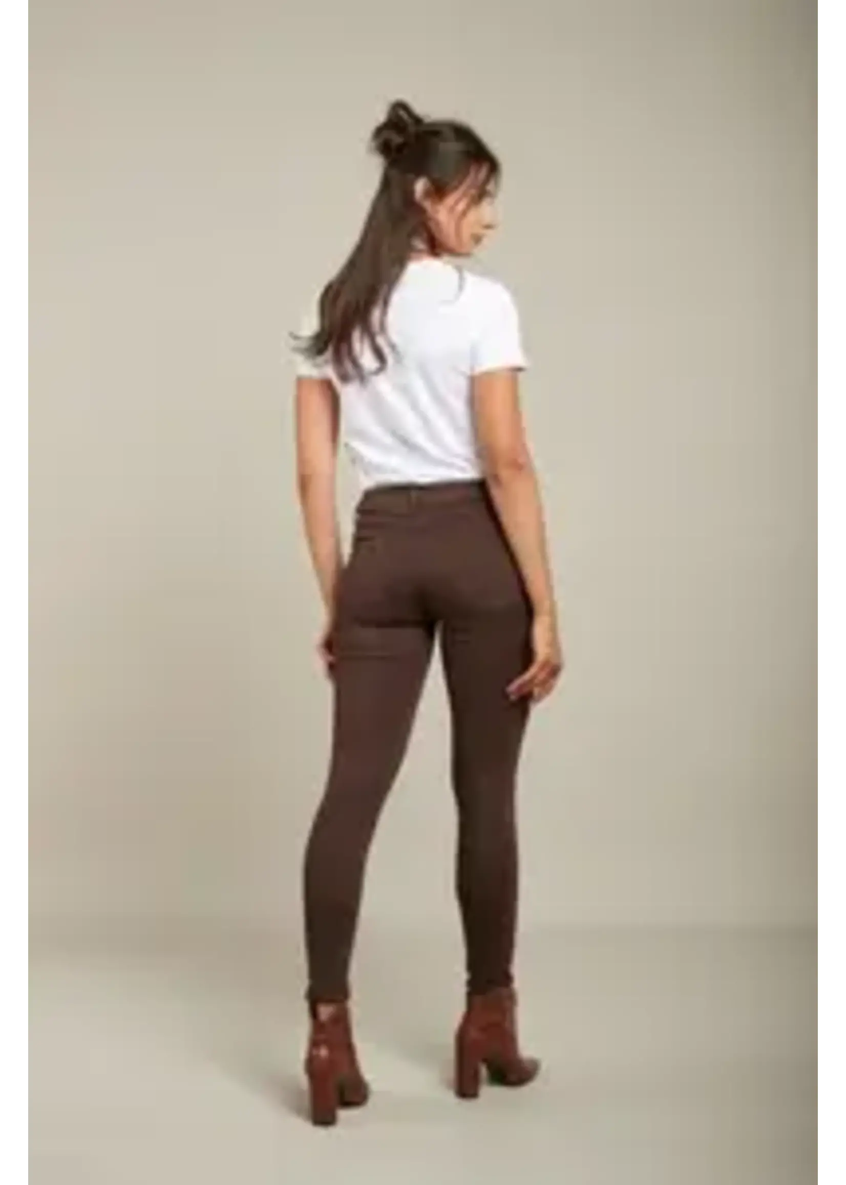 JEAN JOGG COLOR PUSH-UP - LYLY