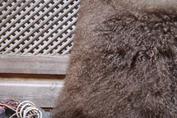 Sierkussen Donkerbruin met binnenvulling Sierkussen Donkerbruin met binnenvulling