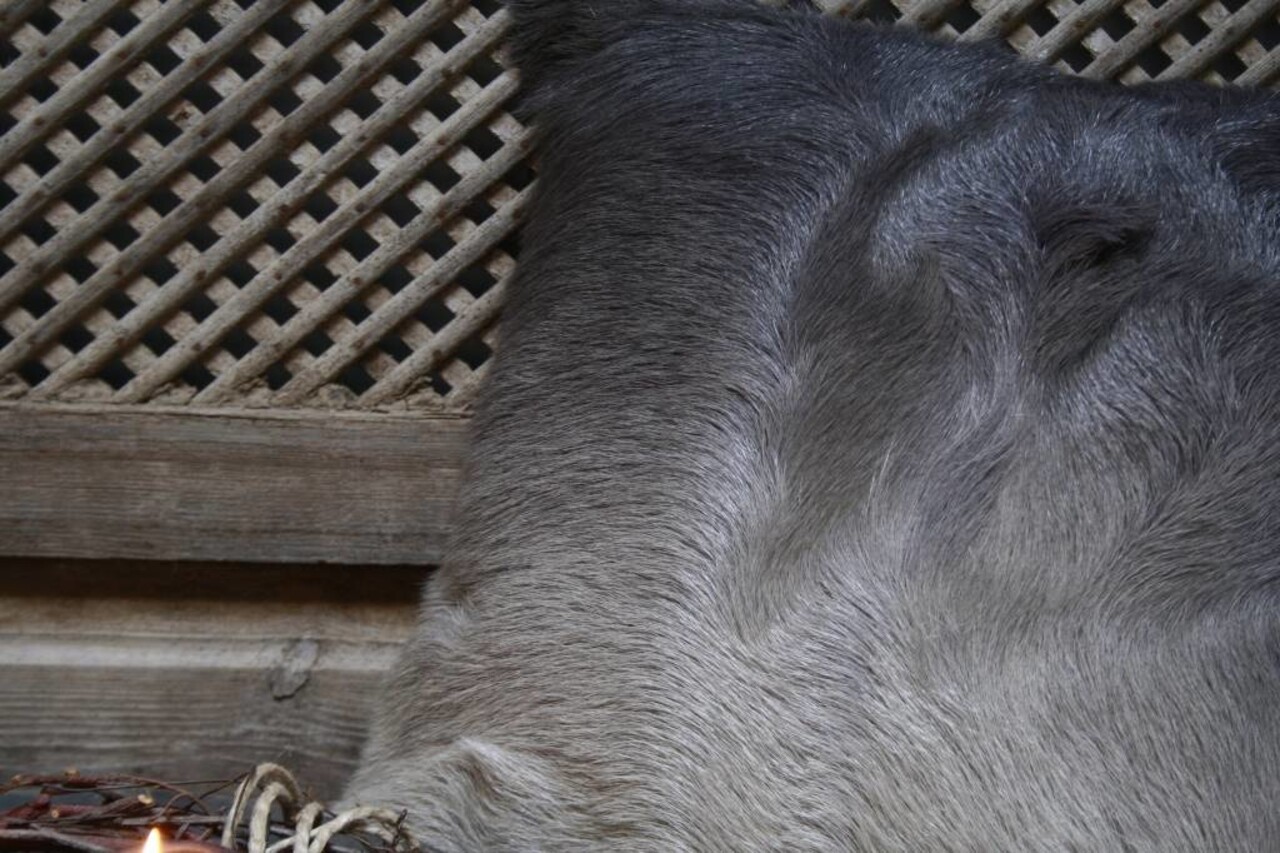 Sierkussen lichtgrijs/donkergrijs met binnenkussen 45x45cm Sierkussen lichtgrijs/donkergrijs met binnenkussen 45x45cm