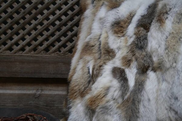 Sierkussen bontkleur met binnenvulling Sierkussen bontkleur met binnenvulling