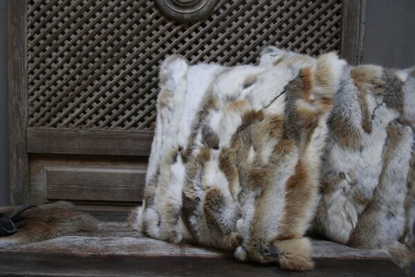 Sierkussen bontkleur met binnenvulling Sierkussen bontkleur met binnenvulling