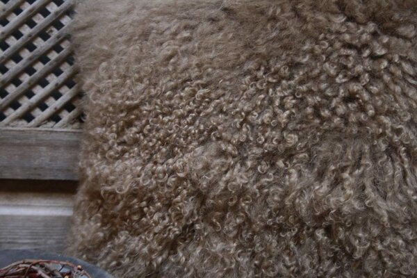 Sierkussen lichtbruin met binnenvulling Sierkussen lichtbruin met binnenvulling