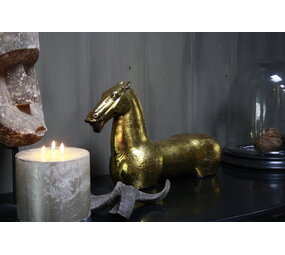 Goldie paard ijzer goud 52 cm Goldie paard ijzer goud 52 cm