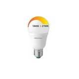 Megaman LED Classic MM08043 6W(40W) 1800-2700K E-27