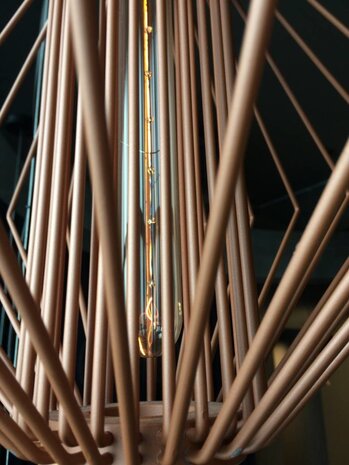 Wever-Ducre T32-180 Carbon filament buislamp 15W-2200K dim