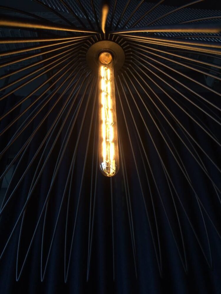 Wever-Ducre T30-225-2200 Led filament buislamp  6W-2200K dim