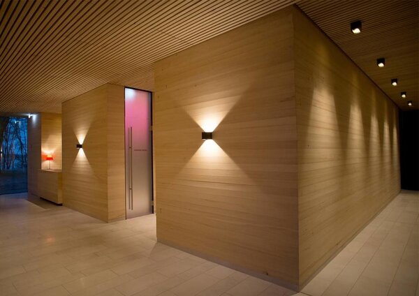 Wever-Ducre Box 1.0 QT14 wandarmatuur up/down 230V-G9 dimbaar