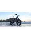 M21 FOLDING ELECTRIC BIKE WITH TORQUE SENSOR