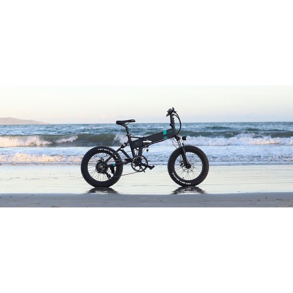 M21 FOLDING ELECTRIC BIKE WITH TORQUE SENSOR