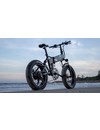 M21 FOLDING ELECTRIC BIKE WITH TORQUE SENSOR