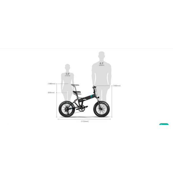 M21 FOLDING ELECTRIC BIKE WITH TORQUE SENSOR