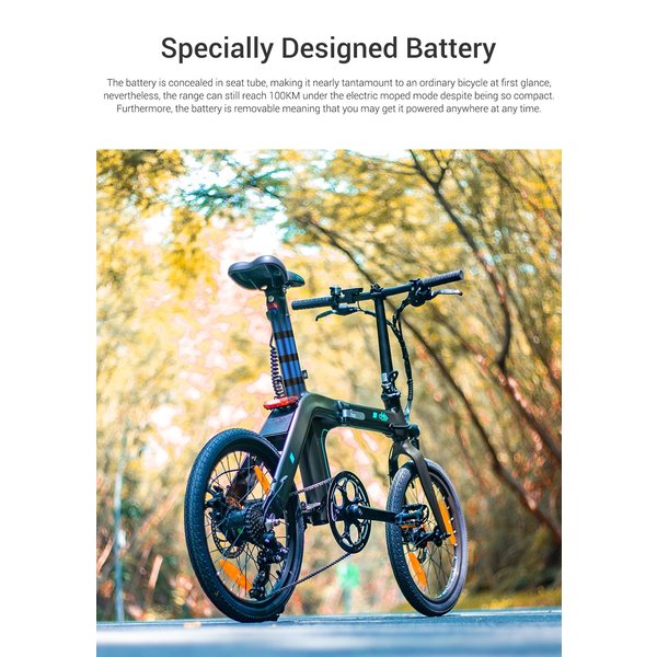 D21 FOLDING ELECTRIC BIKE WITH TORQUE SENSOR