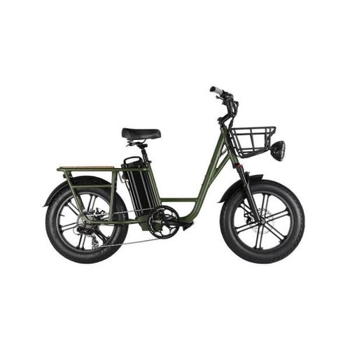 FIIDO T1 PRO ELECTRIC CARGO BIKE ARMY GREEN 