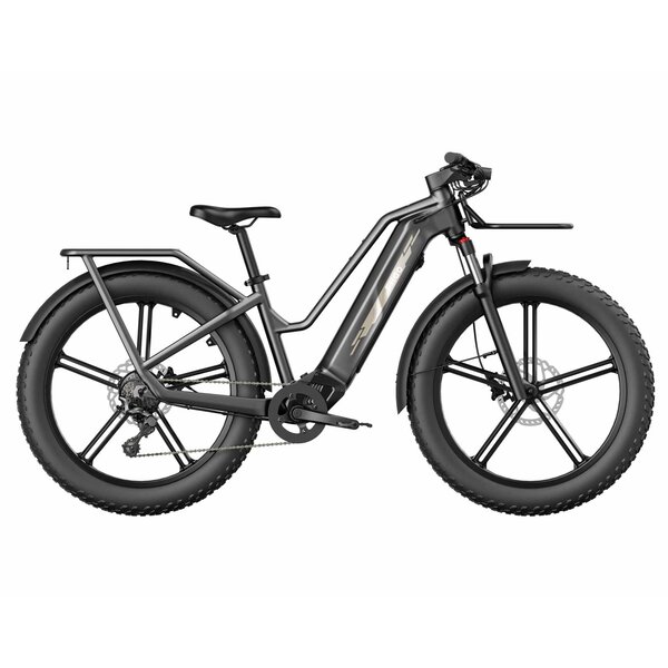 FIIDO TITAN ROBUST CARGO ELECTRIC BIKE