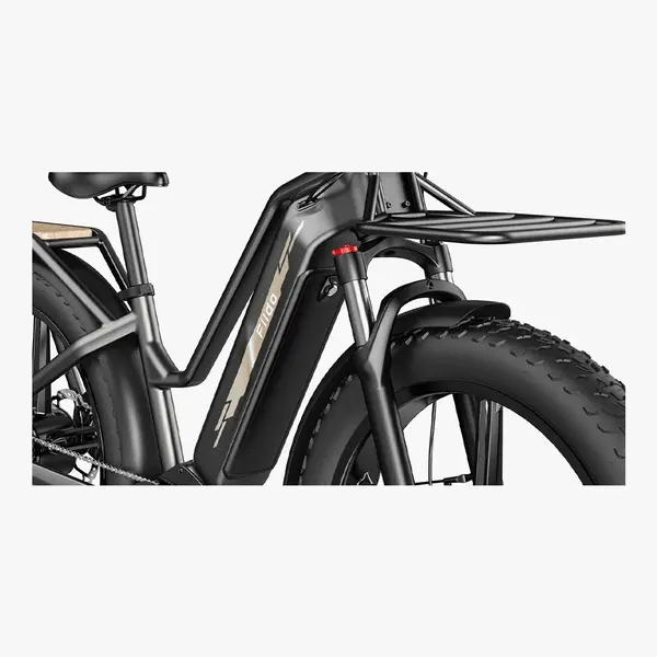 FIIDO TITAN M25 ROBUST CARGO ELECTRIC BIKE TRIPLE BATTERY