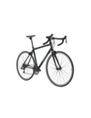 Road Bike Rental