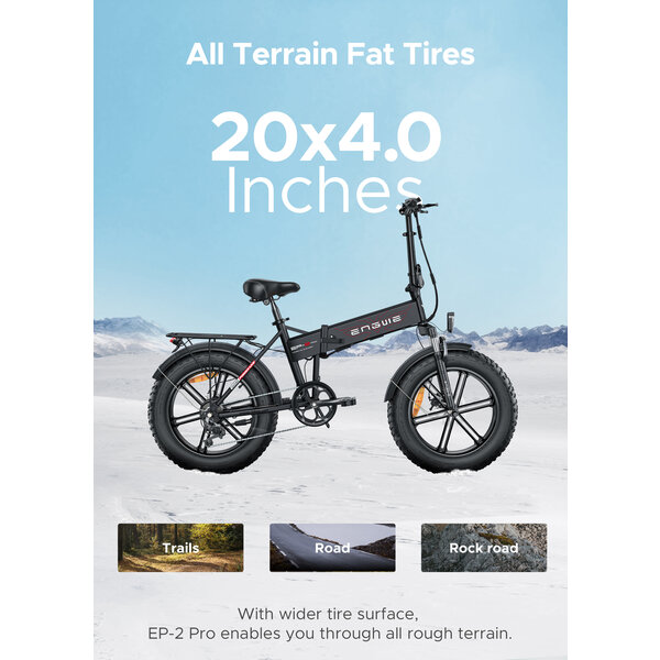 EP-2 PRO EU ELECTRIC BIKE