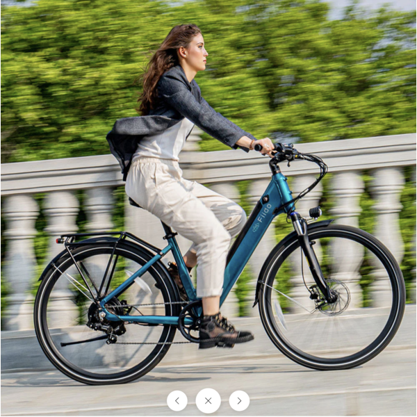 C11 ELECTRIC BIKE