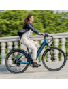 C11 ELECTRIC BIKE