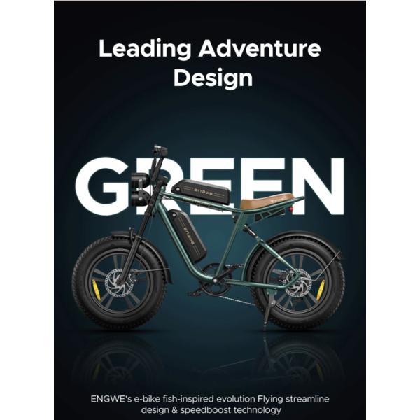 M20 EBIKE DUAL BATTERY