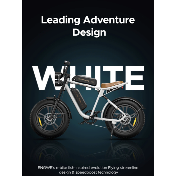 M20 EBIKE DUAL BATTERY