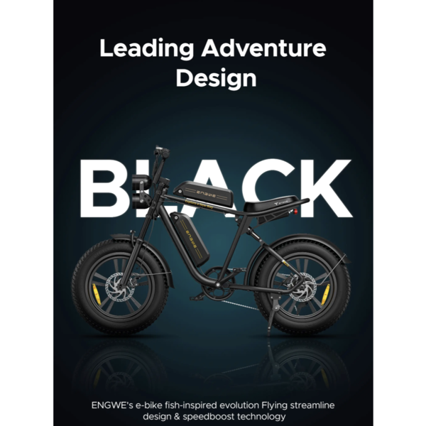 M20 EBIKE DUAL BATTERY