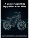 M20 EBIKE DUAL BATTERY