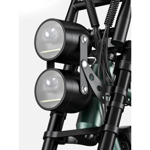 M20 EBIKE DUAL BATTERY