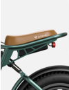M20 EBIKE DUAL BATTERY