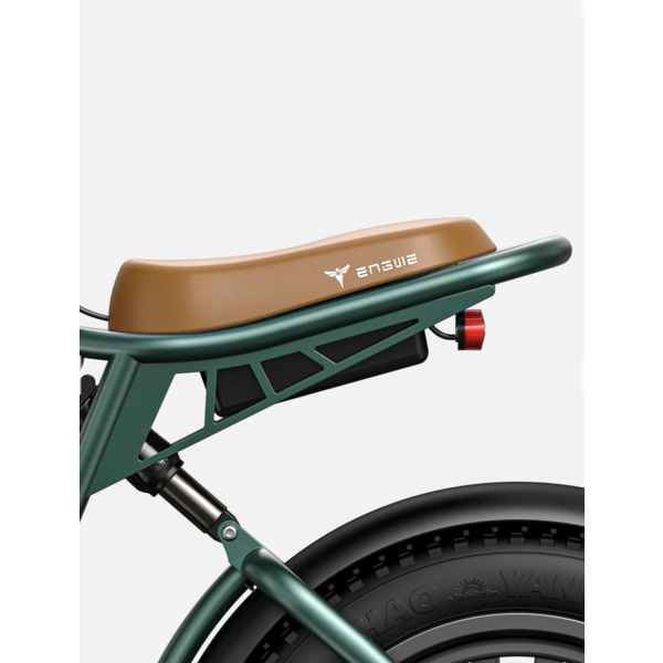 M20 EBIKE DUAL BATTERY