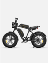 M20 EBIKE DUAL BATTERY