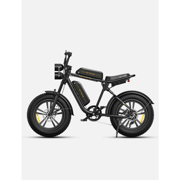 M20 EBIKE DUAL BATTERY