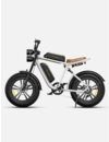 M20 EBIKE DUAL BATTERY