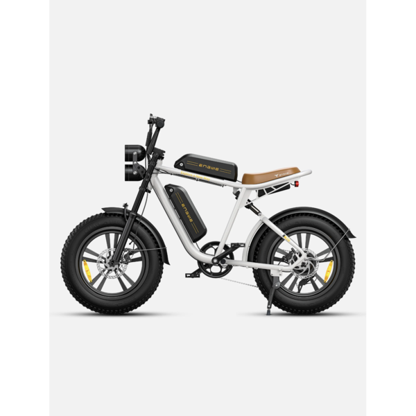 M20 EBIKE DUAL BATTERY