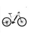 ELECTRIC MOUNTAIN BIKE L5 ANANDA Mid-motor