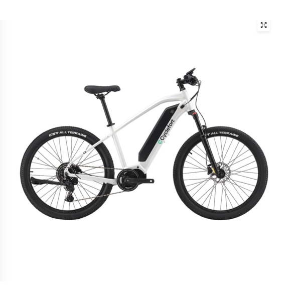 ELECTRIC MOUNTAIN BIKE L5 ANANDA Mid-motor