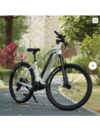 ELECTRIC MOUNTAIN BIKE L5 ANANDA Mid-motor