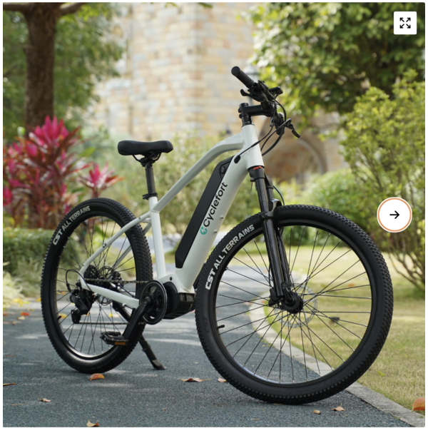 ELECTRIC MOUNTAIN BIKE L5 ANANDA Mid-motor