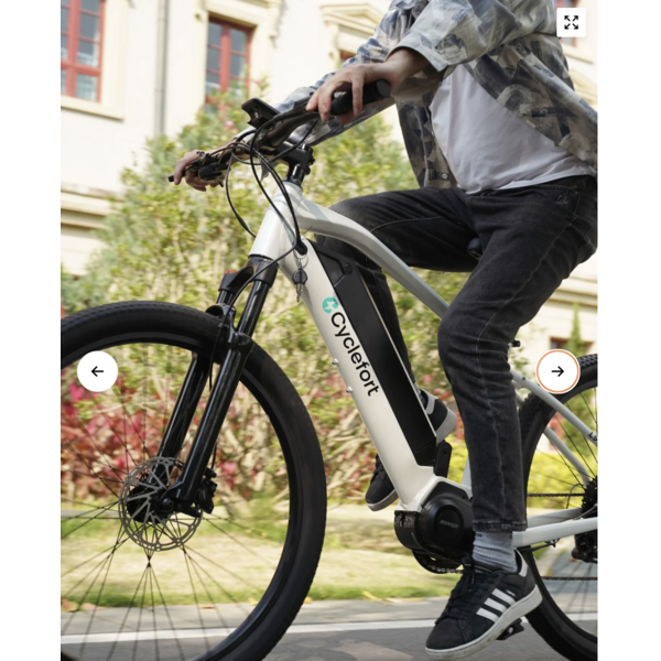 ELECTRIC MOUNTAIN BIKE L5 ANANDA Mid-motor