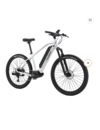ELECTRIC MOUNTAIN BIKE L5 ANANDA Mid-motor