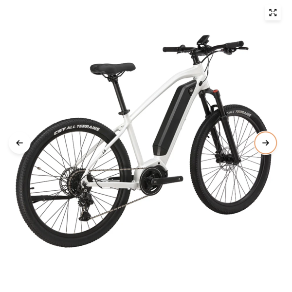 ELECTRIC MOUNTAIN BIKE L5 ANANDA Mid-motor