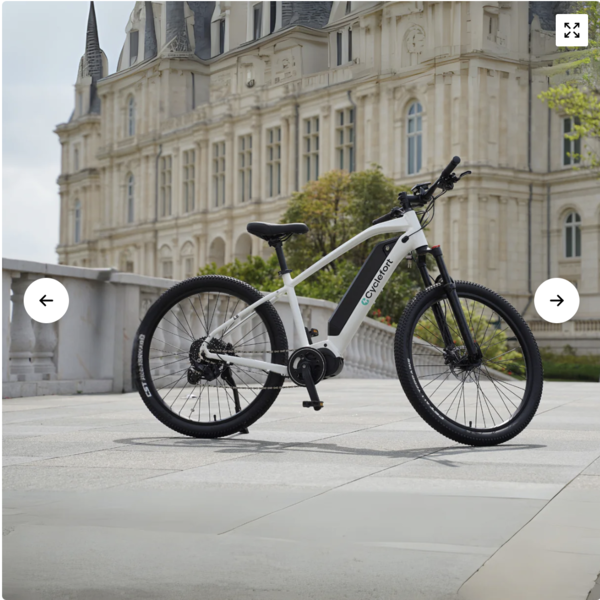 ELECTRIC MOUNTAIN BIKE L5 ANANDA Mid-motor