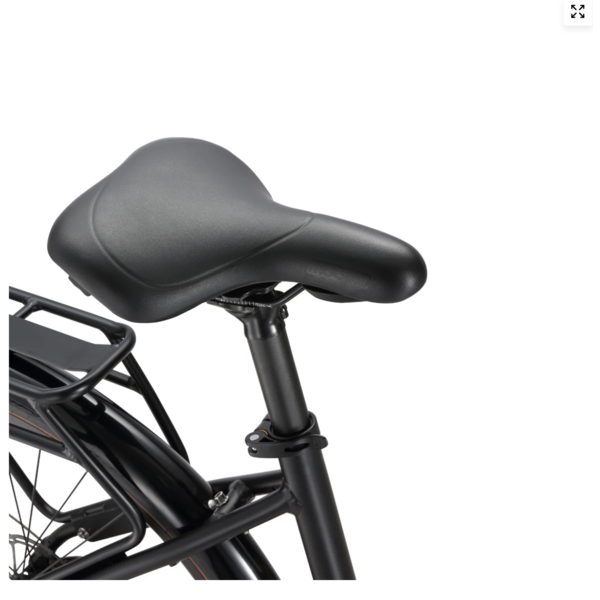 ELECTRIC CITY BIKE L7 BAFANG M210 MID MOTOR