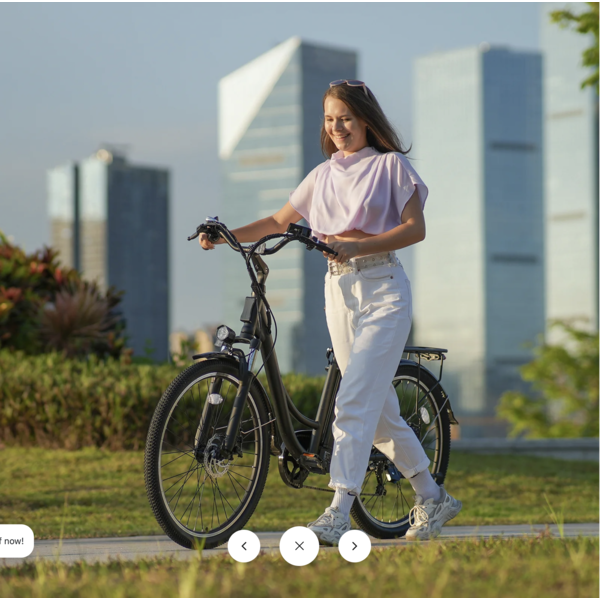 U2 ELECTRIC STEP THRO FRAME BIKE