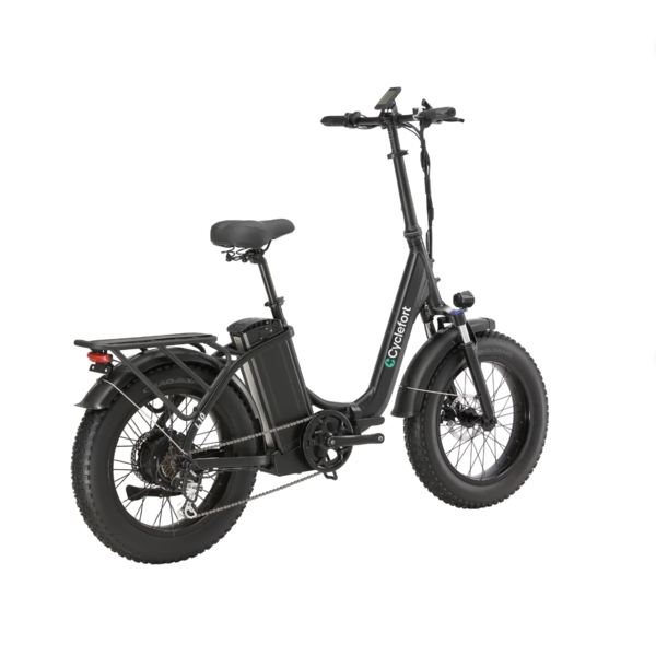 L10 Fat Tyre Electric Bike