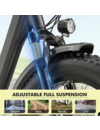 L10 Fat Tyre Electric Bike