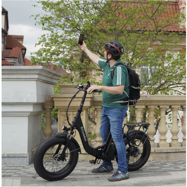 L10 Fat Tyre Electric Bike