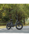 L10 Fat Tyre Electric Bike