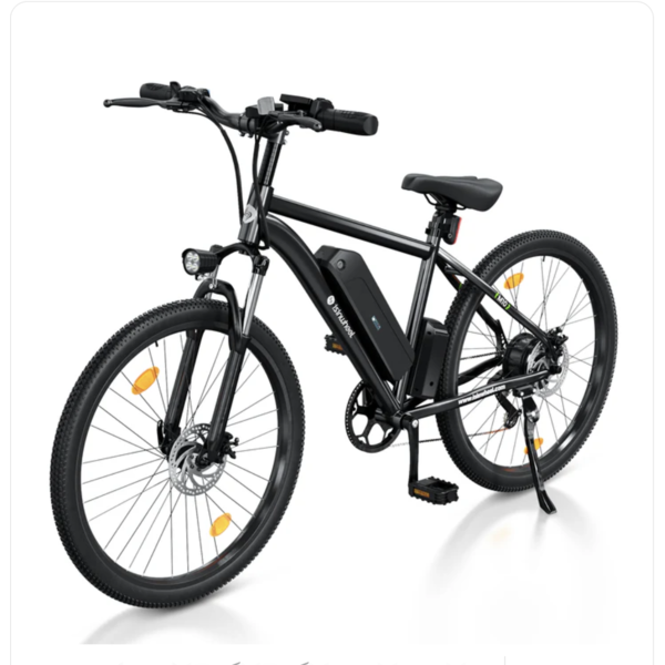 M10S  ELECTRIC BIKE